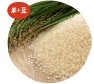 米みそ 米+豆