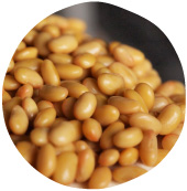大豆に含まれるアグリコン型イソフラボンは老化防止の強い味方